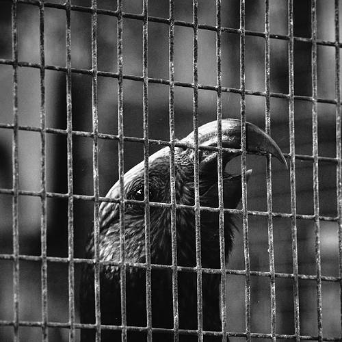 Award-winning photograph The Cost of Safety by Thomas Hamill, 2026 MUSE Photography Awards Gold Winner