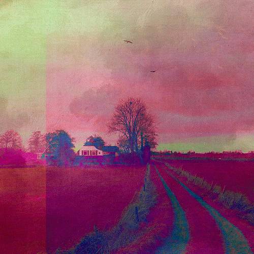 Award-winning photograph Below Sea Level: Landscapes of Memory and Water by August Langhout, 2026 MUSE Photography Awards Silver Winner