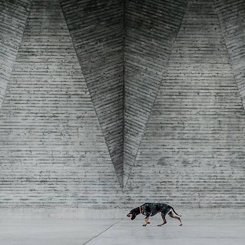 Award-winning photograph Hunted Architecture by Lea Styger, 2026 MUSE Photography Awards Silver Winner