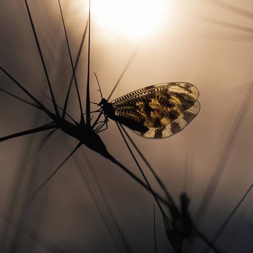 Award-winning photograph Sunset in fairyland by Panagiotis Dalagiorgos, 2026 MUSE Photography Awards Platinum Winner