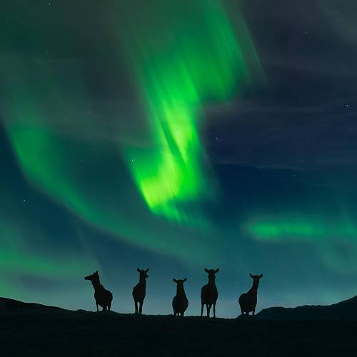 Award-winning photograph Edge of Night by Jason Marino, 2026 MUSE Photography Awards Platinum Winner