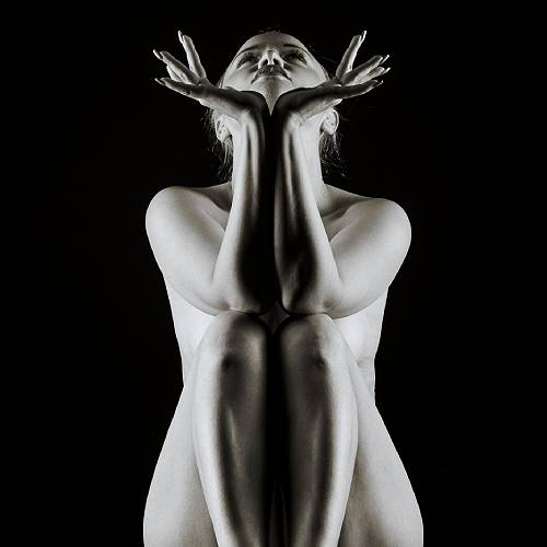 Award-winning photograph Looking up by Luís Viegas Mendonça, 2026 MUSE Photography Awards Platinum Winner