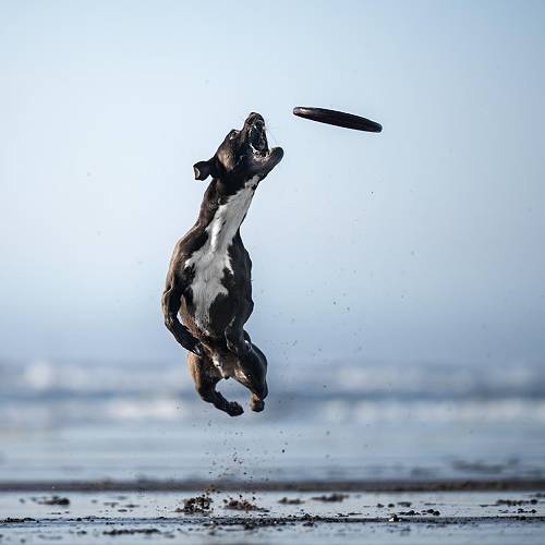 Award-winning photograph All In  by Tracey McIntosh, 2026 MUSE Photography Awards Platinum Winner