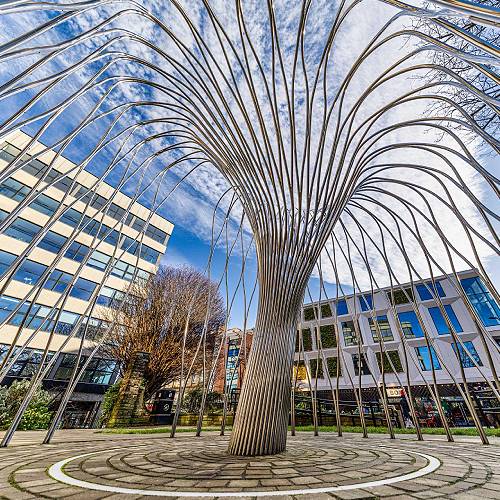 Award-winning photograph We Are Still Here — A Living Memorial in Sheffield by SHIH HUNG YANG, 2026 MUSE Photography Awards Gold Winner