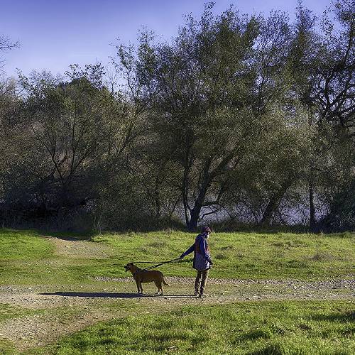 Award-winning photograph Effie Yeaw Nature Center by Mark Yashinsky, 2026 MUSE Photography Awards Silver Winner