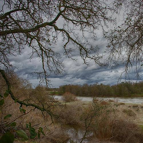Award-winning photograph Effie Yeaw Nature Center by Mark Yashinsky, 2026 MUSE Photography Awards Silver Winner
