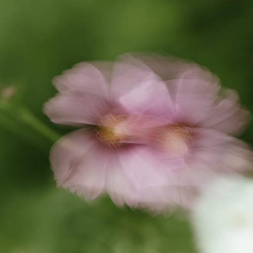 Award-winning photograph The black hole by JUN, 2026 MUSE Photography Awards Gold Winner