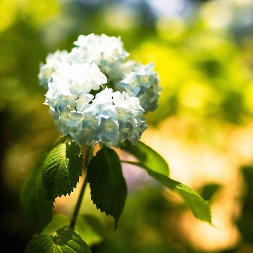 Award-winning photograph NEPTUNE by JUN, 2026 MUSE Photography Awards Gold Winner