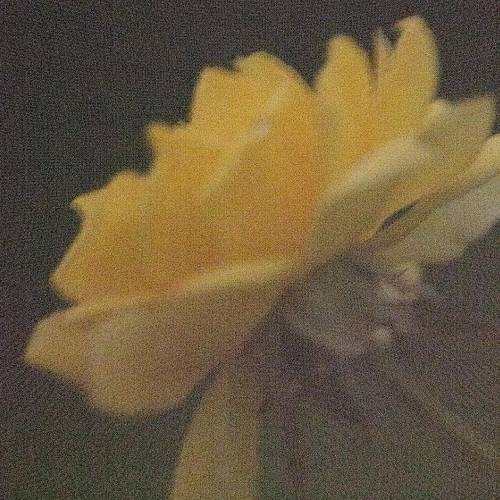 Award-winning photograph Saturn by JUN, 2026 MUSE Photography Awards Silver Winner