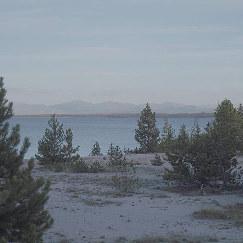 Award-winning photograph Oasis by Jingyi Zhang, 2026 MUSE Photography Awards Gold Winner