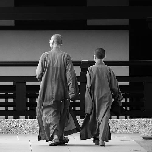 Award-winning photograph A Quiet Path by Tea Chen , 2026 MUSE Photography Awards Gold Winner