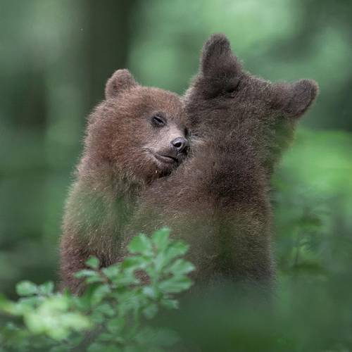 Award-winning photograph We are all kids by Marcello Galleano, 2026 MUSE Photography Awards Platinum Winner