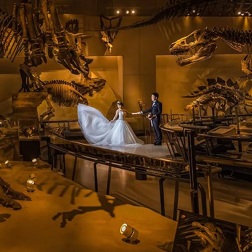 A Jurassic Dream Come True