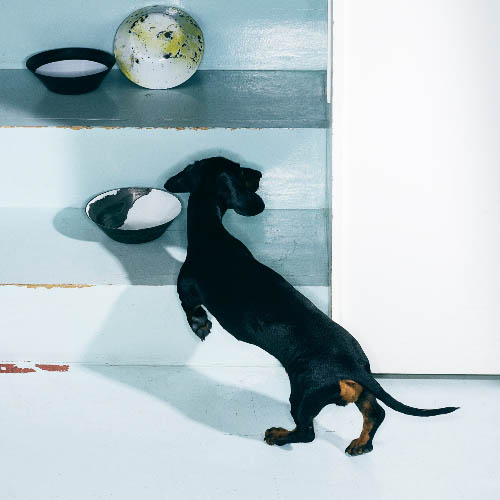 MUSE Photography Awards Silver Winner - Minimal Trouble by Dana Ozollapa