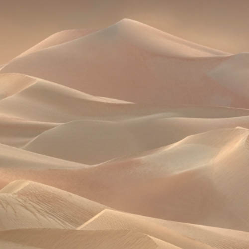 MUSE Photography Awards Platinum Winner - Gold by René Algesheimer
