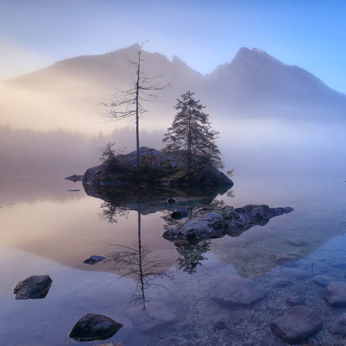 symphony of fog - Photography Winner