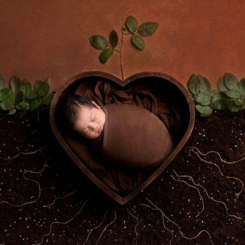 MUSE Photography Awards Silver Winner - Seed Germination by WenHuan Huang