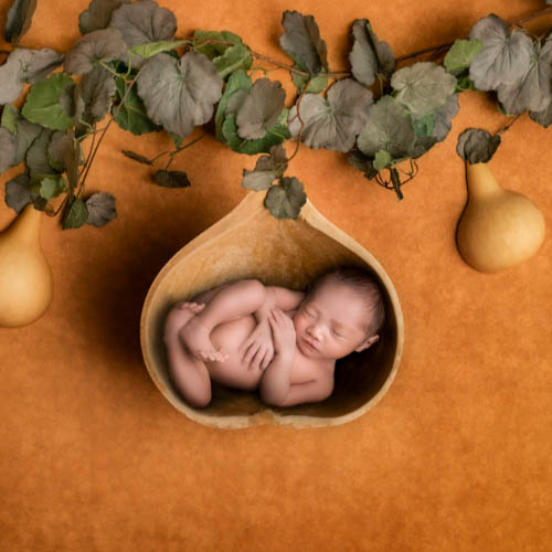MUSE Photography Awards Gold Winner - The fruit of love by WenHuan Huang
