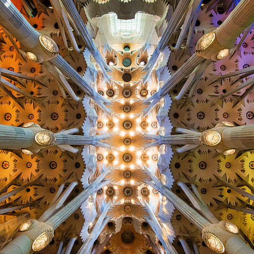 Ceiling, Sagrada Familia - Photography Winner
