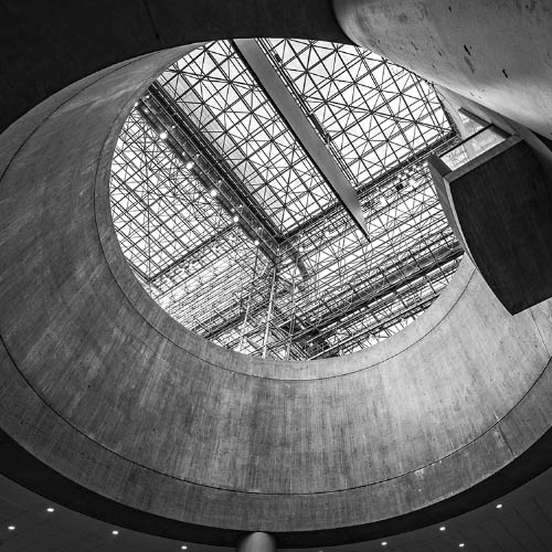 MUSE Photography Awards Silver Winner - Looking Through by Glenn Goldman