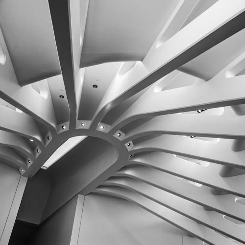 MUSE Photography Awards Silver Winner - Ribs by Glenn Goldman