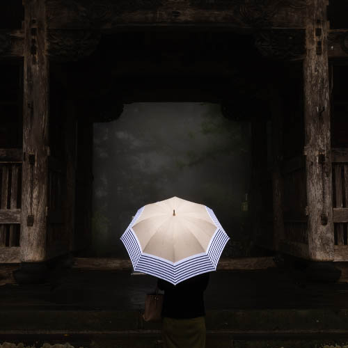 Umbrella - Photography Winner