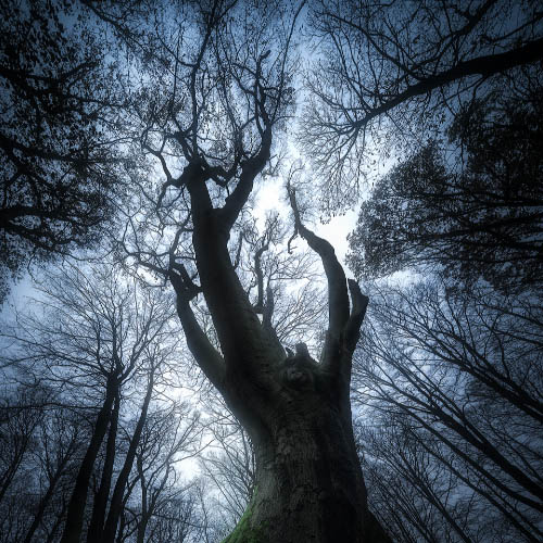 MUSE Photography Awards Gold Winner - A ghostly ritual by Jeroen Lagerwerf