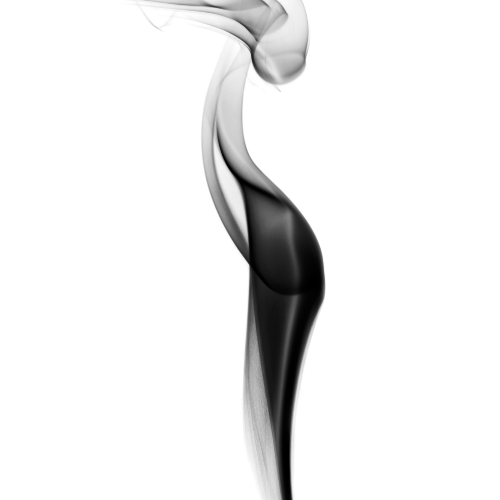 MUSE Photography Awards Silver Winner - Wind dancer by Andrea Francolini
