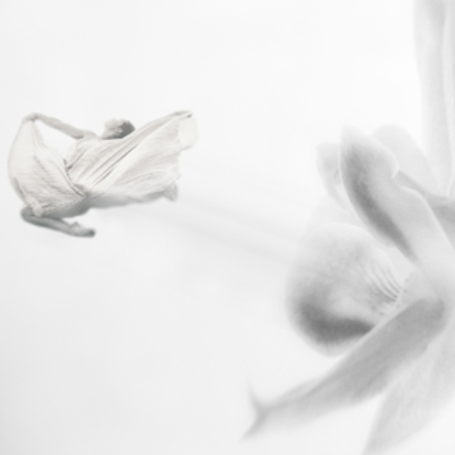 MUSE Photography Awards Silver Winner - REBIRTH by Maria Vida Carraro