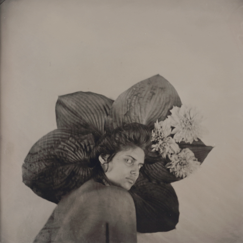 MUSE Photography Awards Silver Winner - Hair Portraits by Rachel Portesi