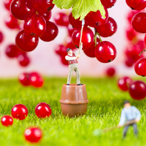 MUSE Photography Awards Silver Winner - Once upon a time in the Utopian Foodland... by Irina Petrova Adamatzky