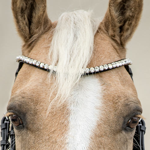 MUSE Photography Awards Silver Winner - Guckguck by Ann-Christin Vogler