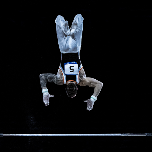 MUSE Photography Awards Silver Winner - UPSIDE DOWN by ARUN MOHANRAJ