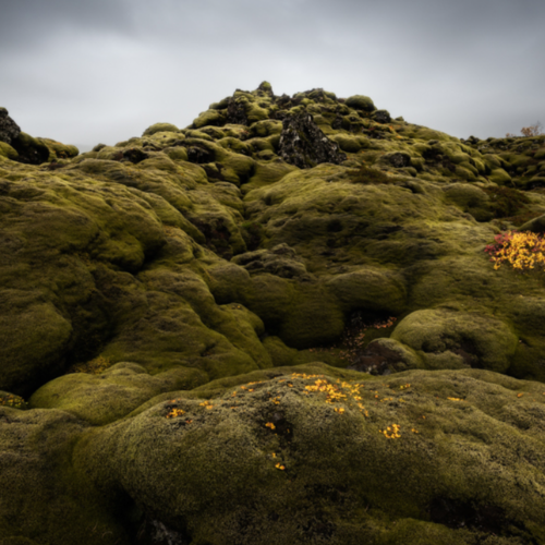 MUSE Photography Awards Silver Winner - Iceland: the ends of the World by Marcello Niccodemi