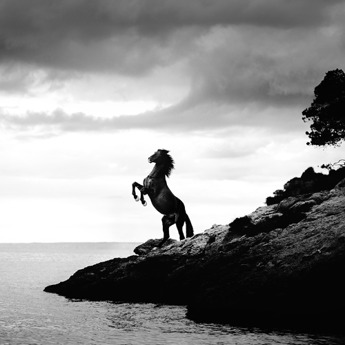 MUSE Photography Awards Silver Winner - Warrior of the Sea by Janine Ulbrich