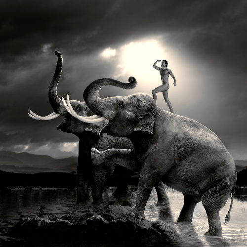 MUSE Photography Awards Gold Winner - Where Is Eve? by Cheraine Collette