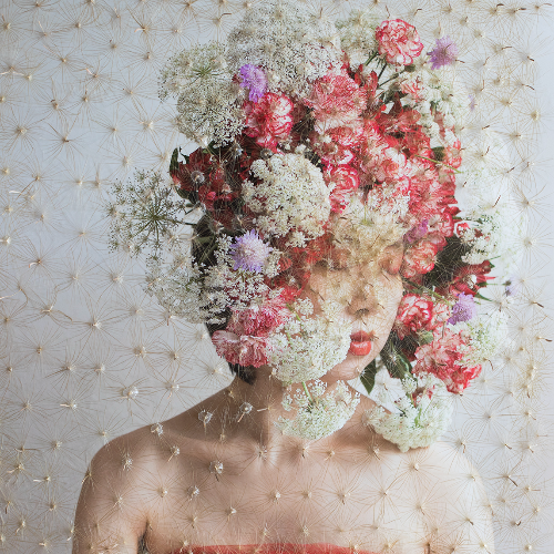 MUSE Photography Awards Gold Winner - Scent of Broq-pa by Ziesook You