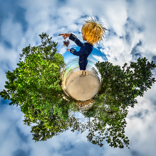 Planets of a Tiny Prince - Photography Winner