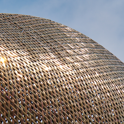 Frank's Fish Scales - Photography Winner