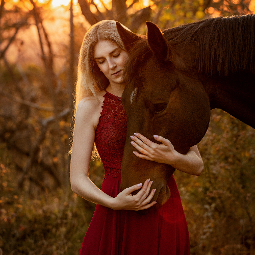 MUSE Photography Awards Gold Winner - The Calm Sunset by Theresa Hildebrandt