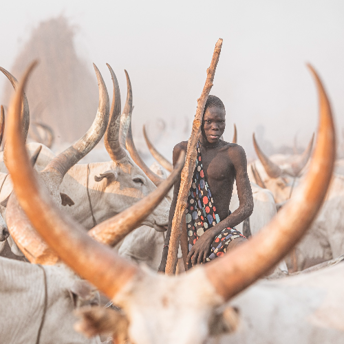 MUSE Photography Awards Category Winners of the Year Winner - Mundari by Josef Buergi