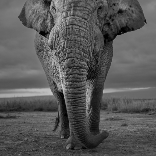 MUSE Photography Awards Gold Winner - Equinox by Jules Oldroyd