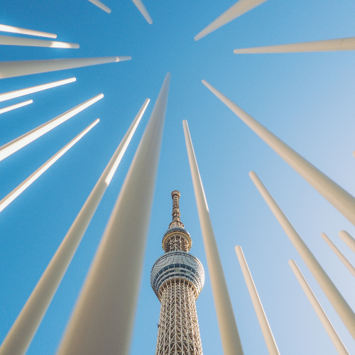 Vanishing Point - Photography Winner
