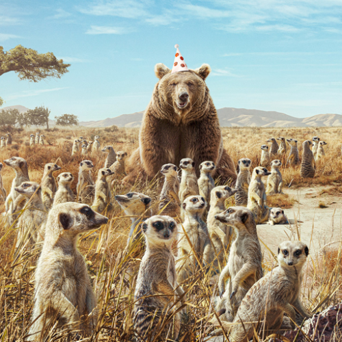 MUSE Photography Awards Gold Winner - Stand Out From The Crowd by Onni Wiljami