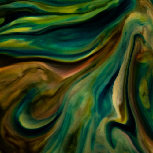 MUSE Photography Awards Gold Winner - Color Explosions by Karen D Bailey