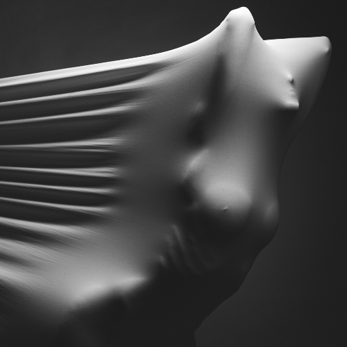 Imprint - Photography Winner