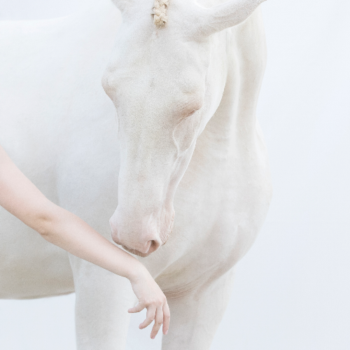 MUSE Photography Awards Silver Winner - Connection by Helga Madajova