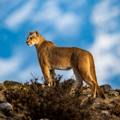MUSE Photography Awards Gold Winner - High above by Nathan Myhrvold