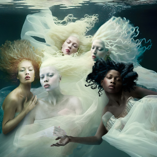 Underneath The Surface - Photography Winner