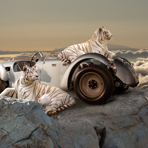 MUSE Photography Awards Gold Winner - Limitless by Cheraine Collette
